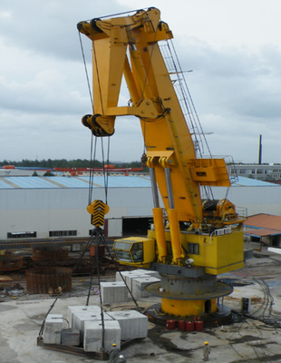 Hydraulischer Knöchel Jib Crane Mounted On Offshore Platform mit 250 Kilowatt